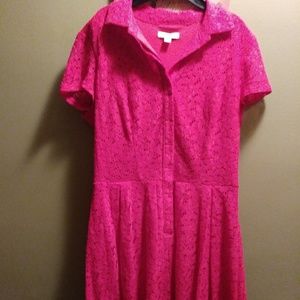 New York & Co lined lace a-line button down dress